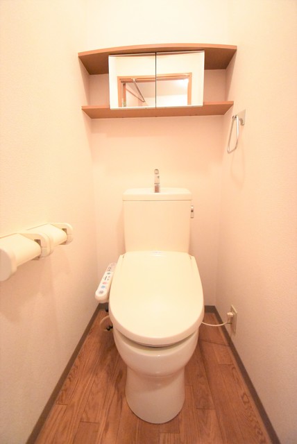 ��ʌ�����s�厚���s�g���̃}���V�����̃g�C��