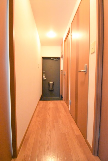 ��ʌ�����s�厚���s�g���̃}���V�����̂��̑�