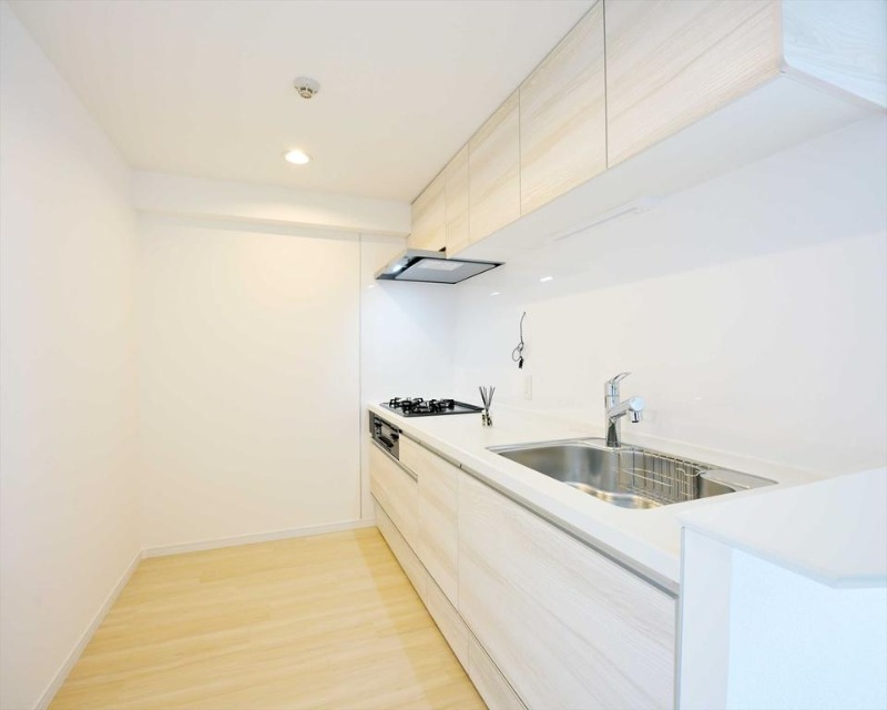 ��ʌ������R�s���|���Q���ڂ̃}���V�����̃L�b�`��