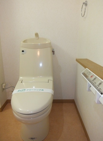 ��ʌ�����s�厚���s�̃}���V�����̃g�C��