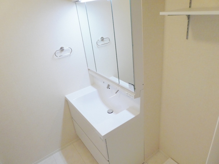 ��ʌ�����s�厚���̃A�p�[�g�̐��ʏ�