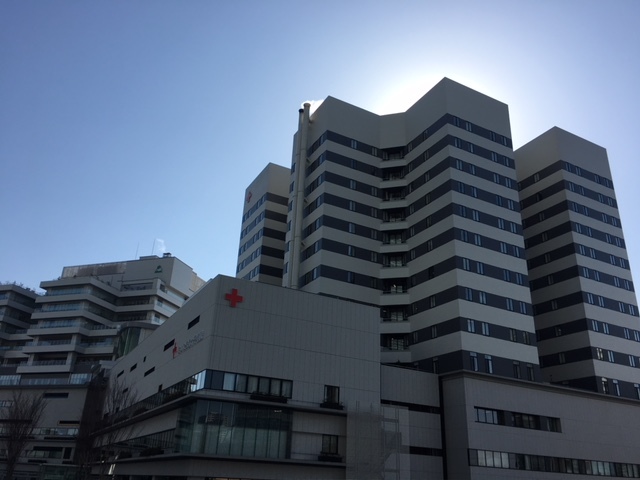 ��ʌ��������܎s������V�s�S�̃}���V�����̎���