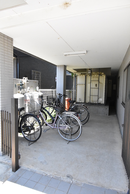 ��ʌ��������܎s����厚���V�n�̃}���V�����̂��̑�