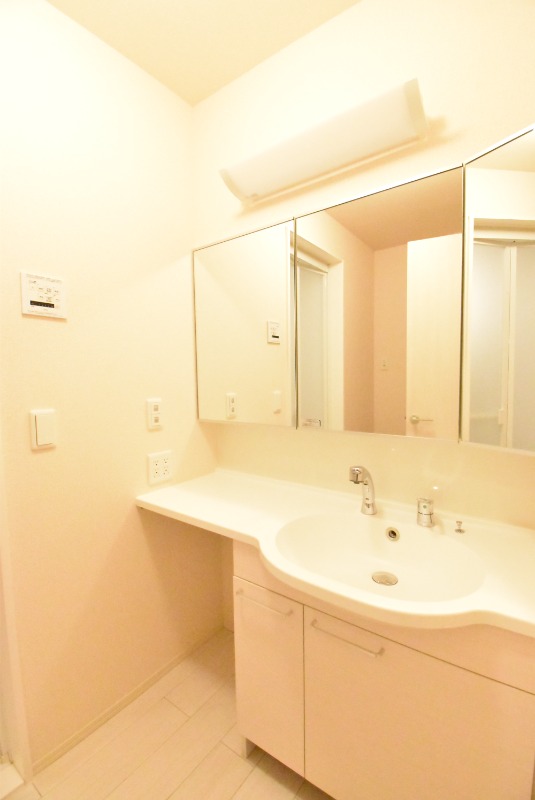 ��ʌ��z�J�s���C�N�^�E���U���ڂ̃A�p�[�g�̐��ʏ�