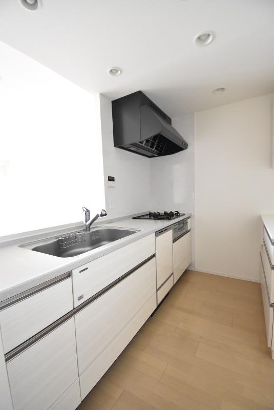 ��ʌ��z�J�s���C�N�^�E���V���ڂ̃}���V�����̃L�b�`��