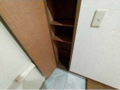 ��ʌ�����s������T���ڂ̃}���V�����̎��[