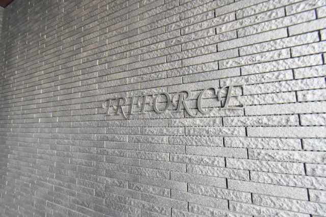 ��ʌ��������܎s�����擌��{�S���ڂ̃}���V�����̎���