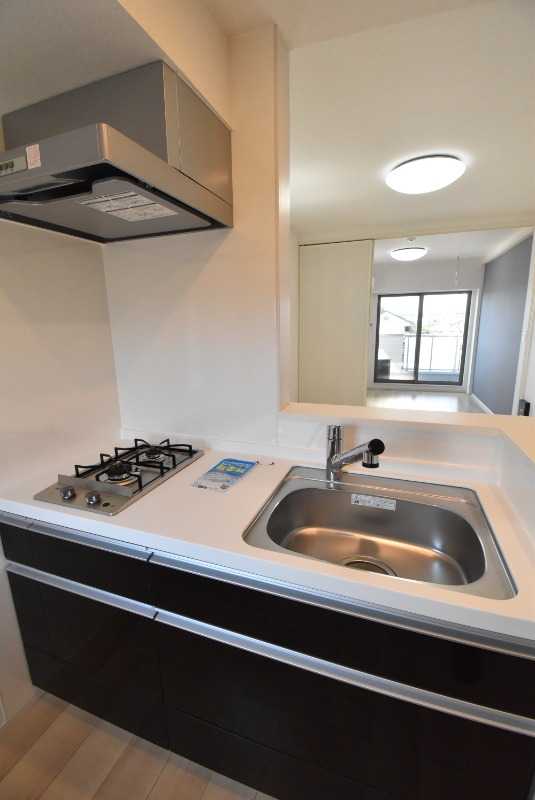 ��ʌ��������܎s����쌳�h�P���ڂ̃A�p�[�g�̃L�b�`��