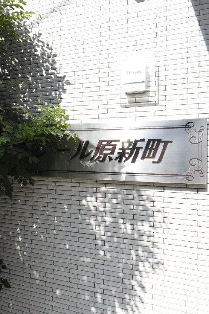 ��ʌ�����s���V���̃A�p�[�g�̂��̑�