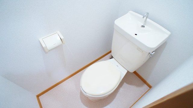 ��ʌ��k�����S�ɓޒ����S���ڂ̃}���V�����̃g�C��