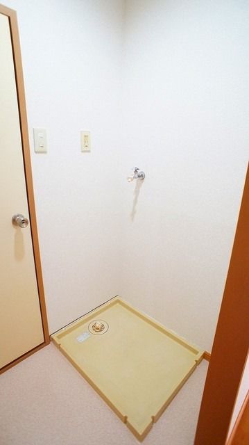 ��ʌ��k�����S�ɓޒ����S���ڂ̃}���V�����̂��̑�