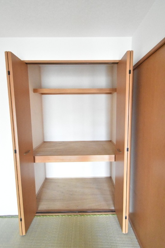 ��ʌ�����s�˒������̃}���V�����̎��[