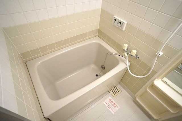 ��ʌ�����s�厚���~�J�̃}���V�����̃o�X