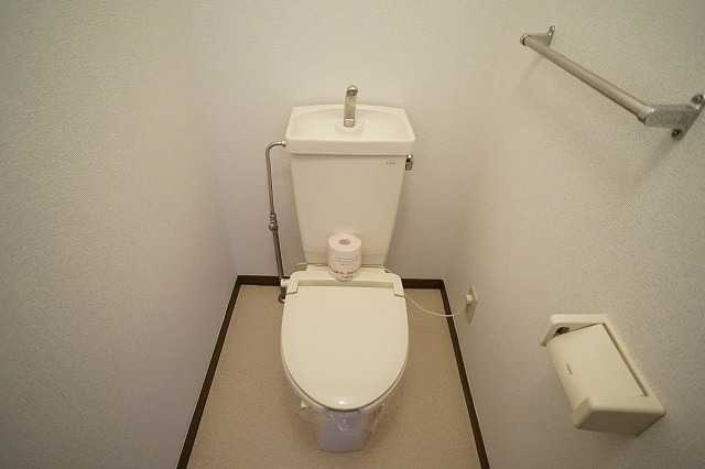 ��ʌ�����s�厚���~�J�̃}���V�����̃g�C��