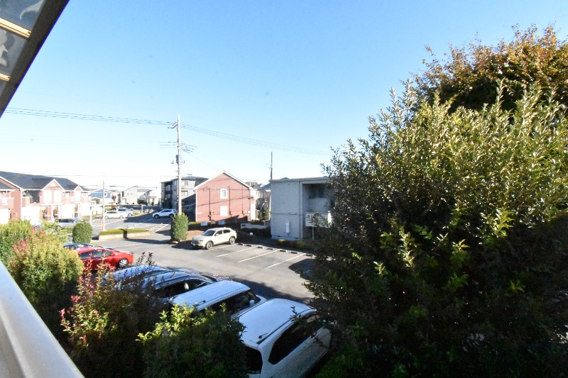 ��ʌ�����s�厚�����̃A�p�[�g�̂��̑�