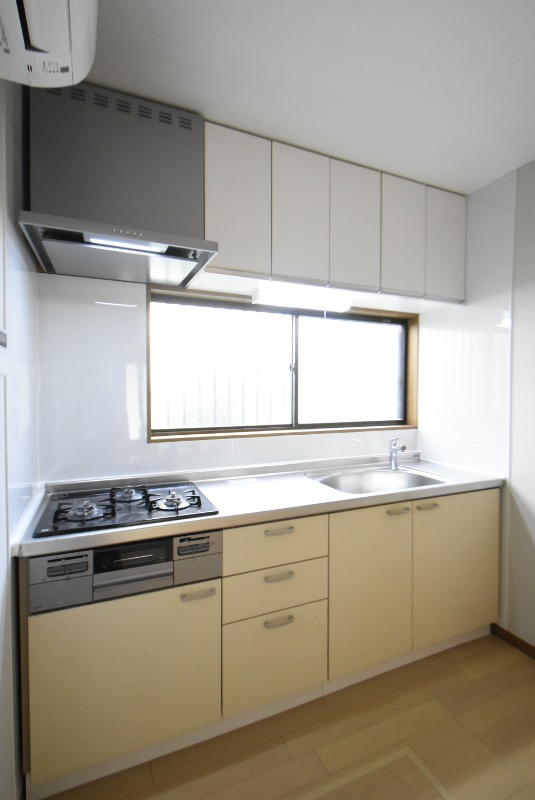 ��ʌ��k�����S�ɓޒ��厚�����̈�ˌ��ẴL�b�`��