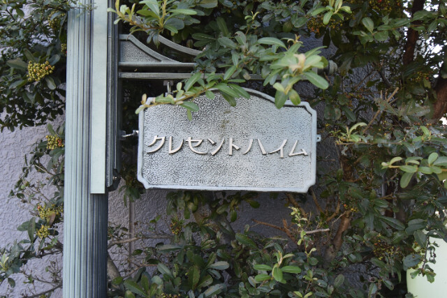 ��ʌ��������܎s����厚�w��̃A�p�[�g�̎���