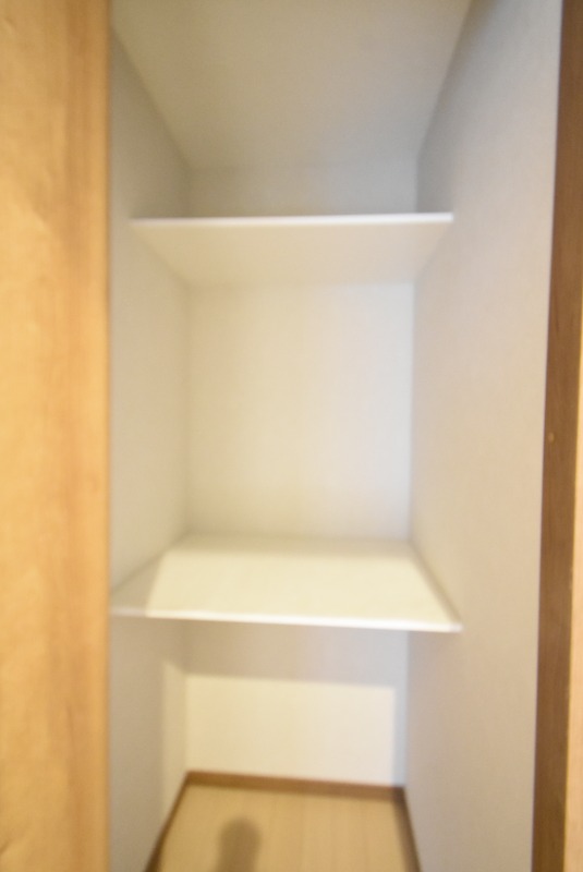 ��ʌ��k�����S�ɓޒ��厚�����̈�ˌ��Ă̎��[