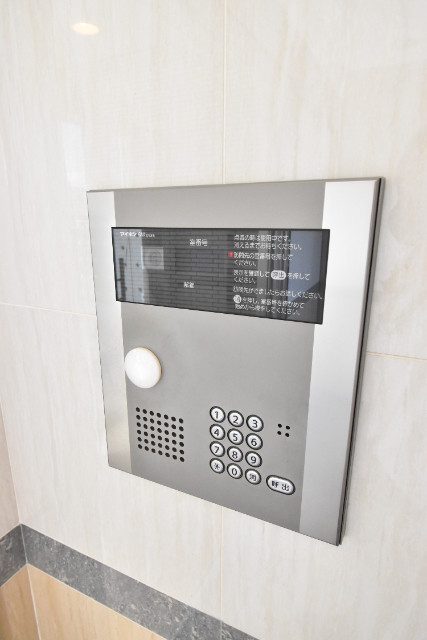 ��ʌ��z�J�s���C�N�^�E���W���ڂ̃}���V�����̂��̑�