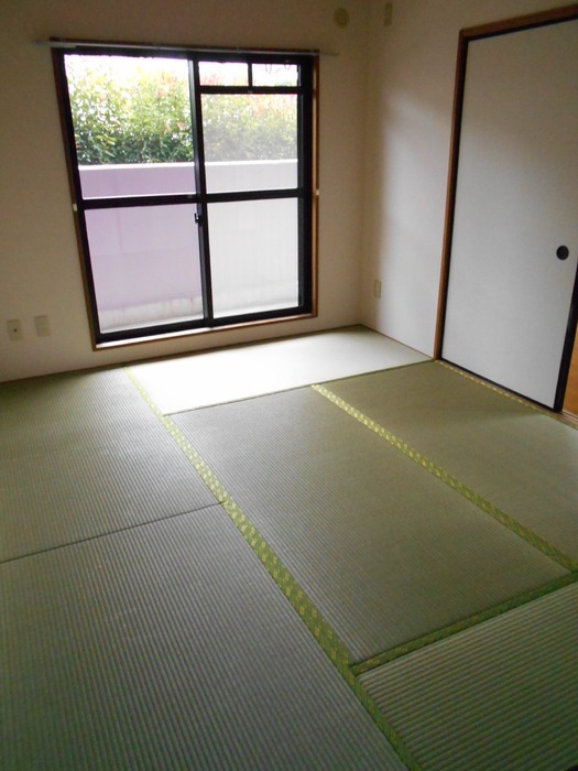 ��ʌ��������܎s�k��{�����̃}���V�����̂��̑�