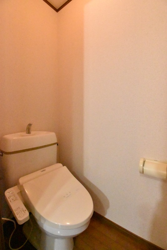 ��ʌ�����s�厚���̃}���V�����̃g�C��