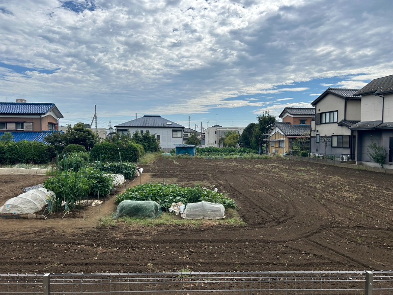 ��ʌ��������܎s����厚�w��̃e���X�n�E�X�̂��̑�