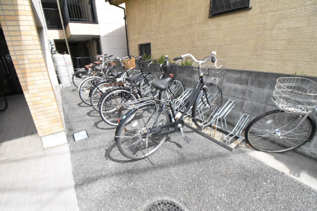 ��ʌ��������܎s�k��听���S���ڂ̃}���V�����̂��̑�