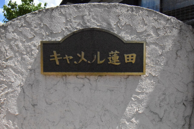 ��ʌ��@�c�s�Β��R���ڂ̃A�p�[�g�̎���