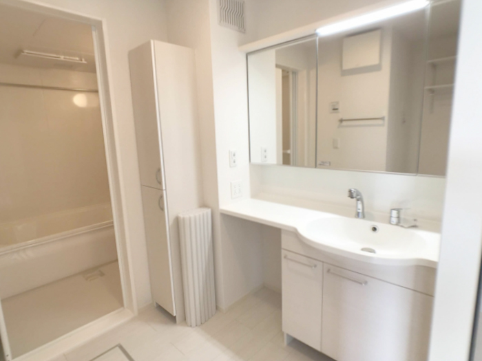 ��ʌ��z�J�s���C�N�^�E���X���ڂ̃A�p�[�g�̐��ʏ�