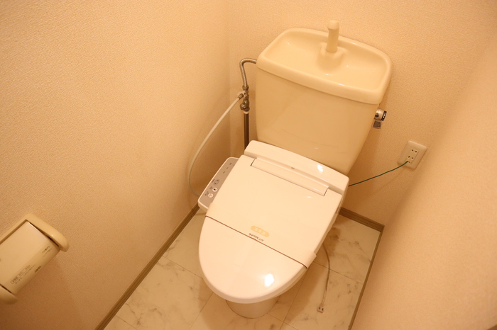 ��ʌ��k�����S�ɓޒ��厚�H�т̃A�p�[�g�̃g�C��