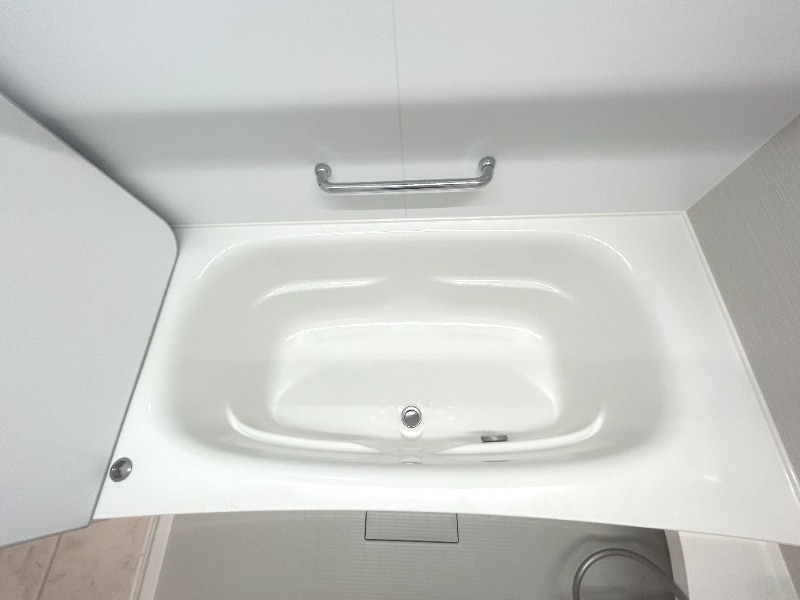 ��ʌ��������܎s�����攪���q�S���ڂ̈�ˌ��Ẵo�X