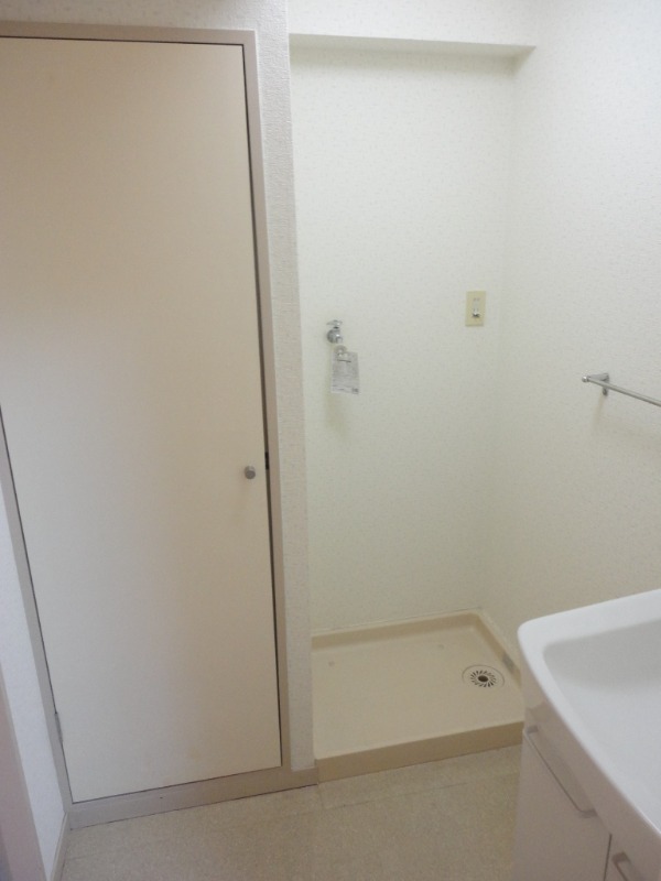 ��ʌ��������܎s�����擌��{�T���ڂ̃}���V�����̂��̑�