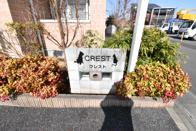 ��ʌ��������܎s�΋�厚���̃A�p�[�g�̌����O��