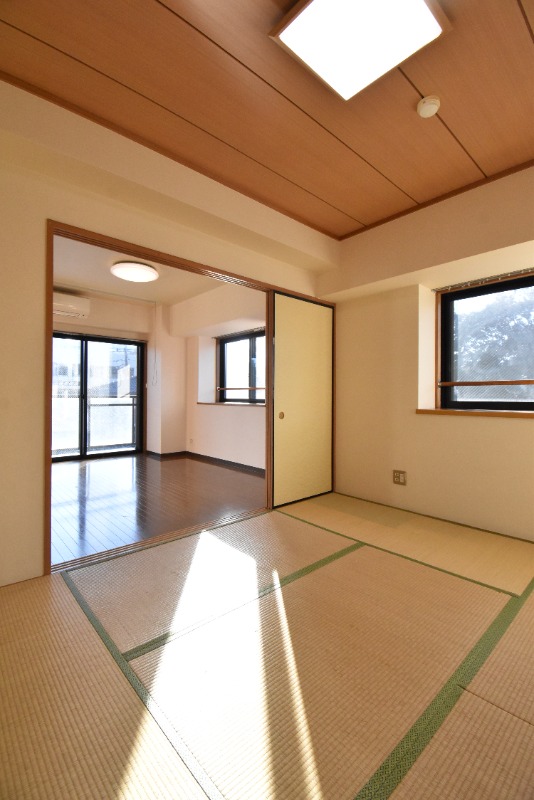 ��ʌ��������܎s��{�捂�@���Q���ڂ̃}���V�����̂��̑�