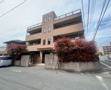 ��ʌ�����s���V���̃}���V�����̌����O��