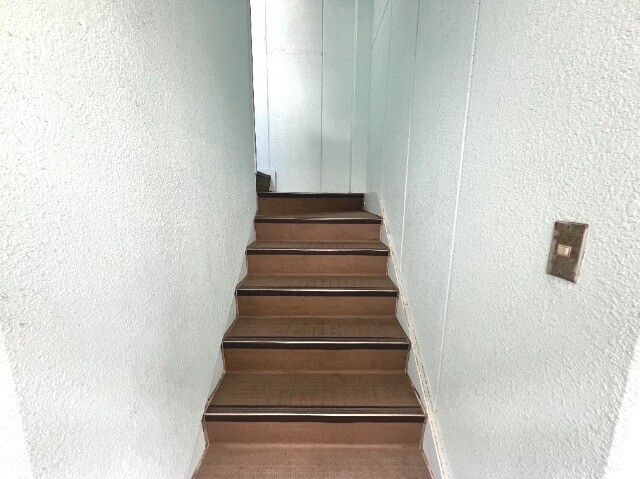 ��ʌ��������܎s�����擌��{�T���ڂ̃}���V�����̂��̑�