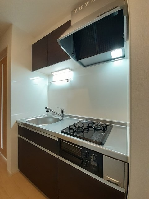 ��ʌ��������܎s����厚�_�c�̃A�p�[�g�̃L�b�`��