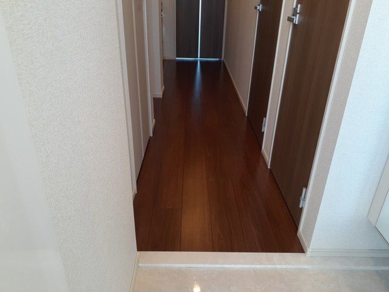 ��ʌ��������܎s����厚�w��̃}���V�����̌���