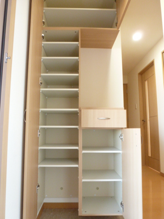 ��ʌ�����s�厚���̃}���V�����̌���