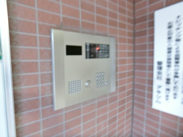 ��ʌ�����s�����P���ڂ̃}���V�����̂��̑�