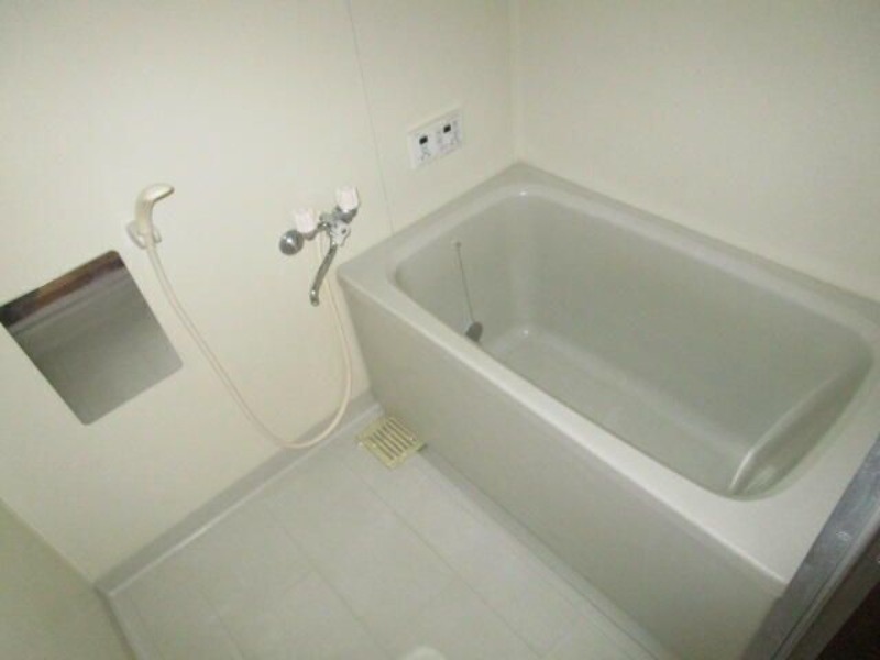 ��ʌ��������܎s�����攪���q�R���ڂ̃}���V�����̃o�X