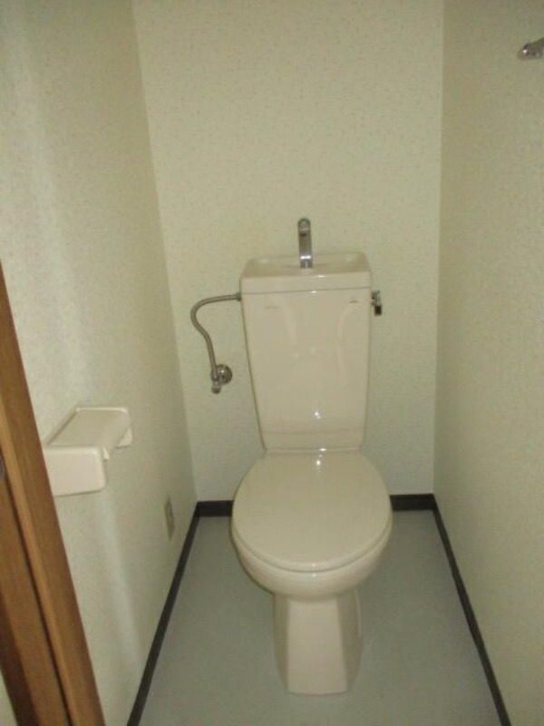 ��ʌ��������܎s�����攪���q�R���ڂ̃}���V�����̃g�C��