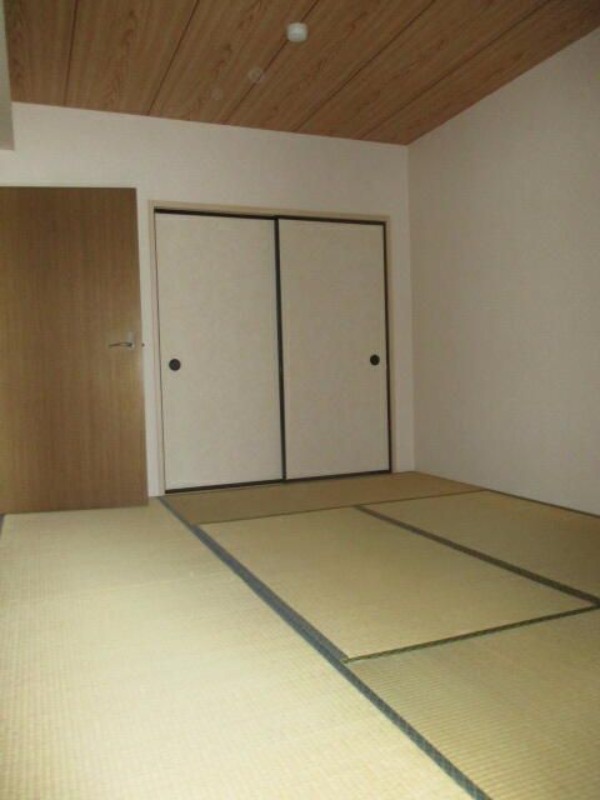 ��ʌ��������܎s�����攪���q�R���ڂ̃}���V�����̂��̑�