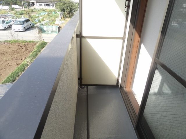 ��ʌ��������܎s����厚�w��̃A�p�[�g�̃o���R�j�[