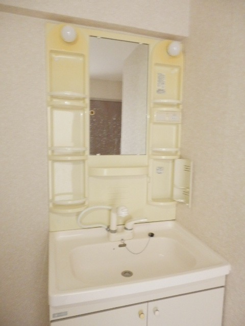 ��ʌ��������܎s����厚����v�ۂ̃}���V�����̐��ʏ�