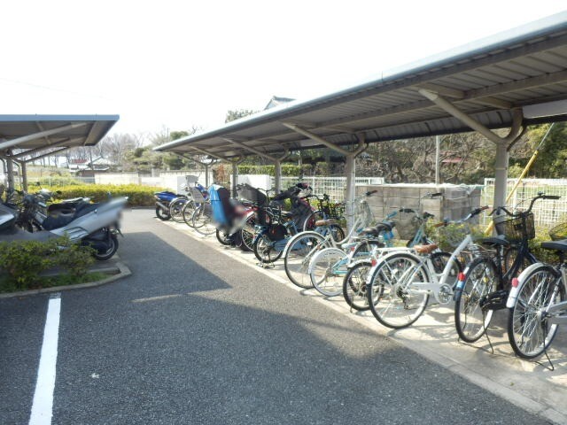 ��ʌ��������܎s����厚����v�ۂ̃}���V�����̂��̑�