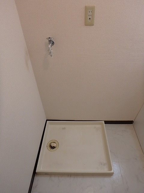 ��ʌ��������܎s������厚�쒆�ۂ̃}���V�����̂��̑�