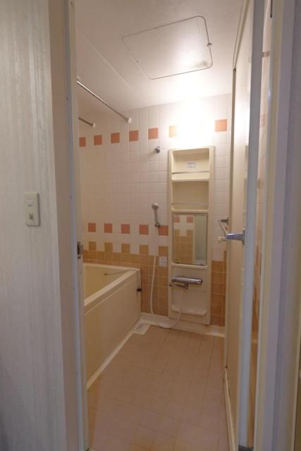 ��ʌ������s���v��̃}���V�����̃o�X