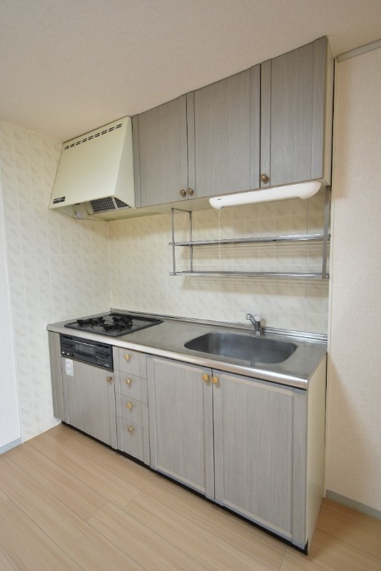 ��ʌ��������܎s�k����i���Q���ڂ̃A�p�[�g�̃L�b�`��