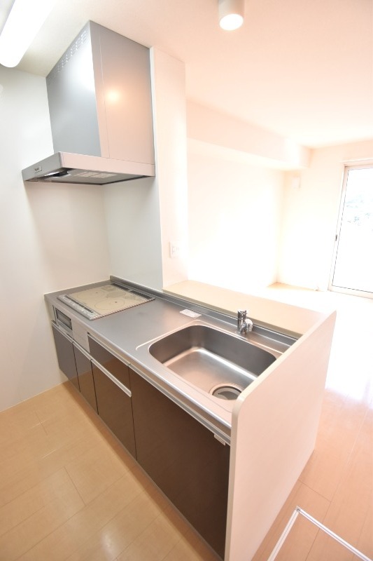 ��ʌ�����s�厚���s�̃A�p�[�g�̃L�b�`��